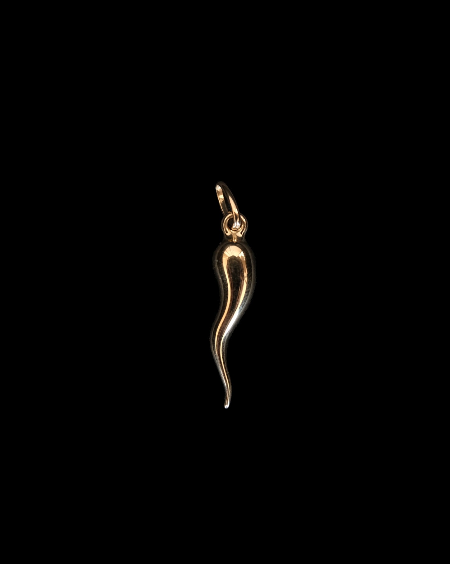 14K Charm -Italian Horn L