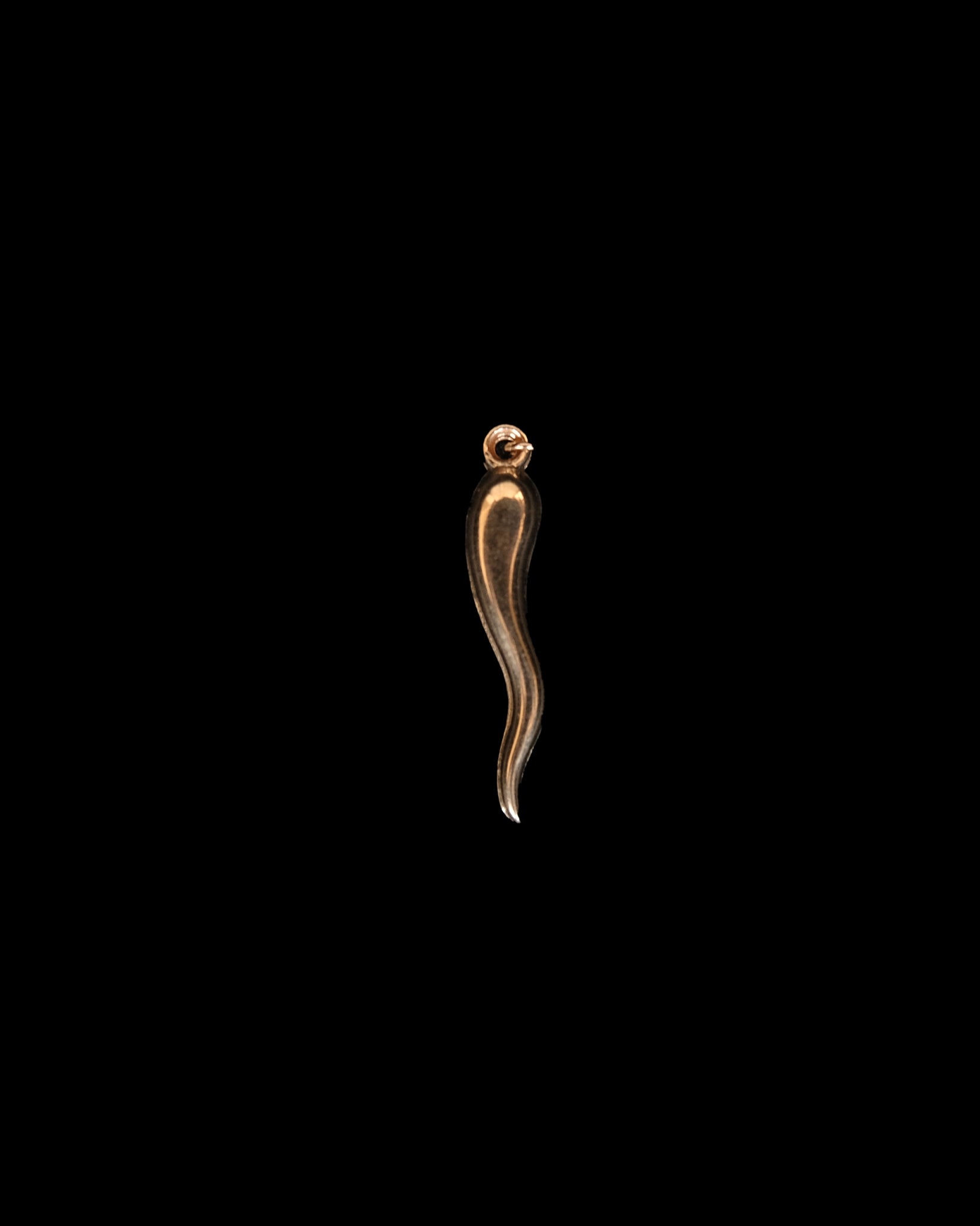 14K Charm -Italian Horn M