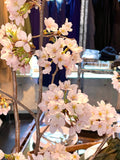 Sakura Fair