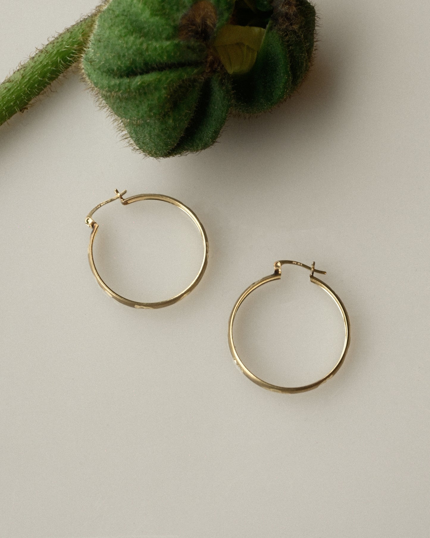 10k Hoops