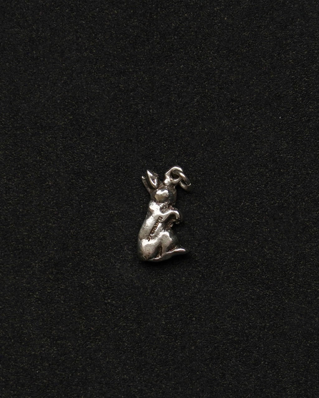 Silver Rabbit Charm (SVNL26040-3)