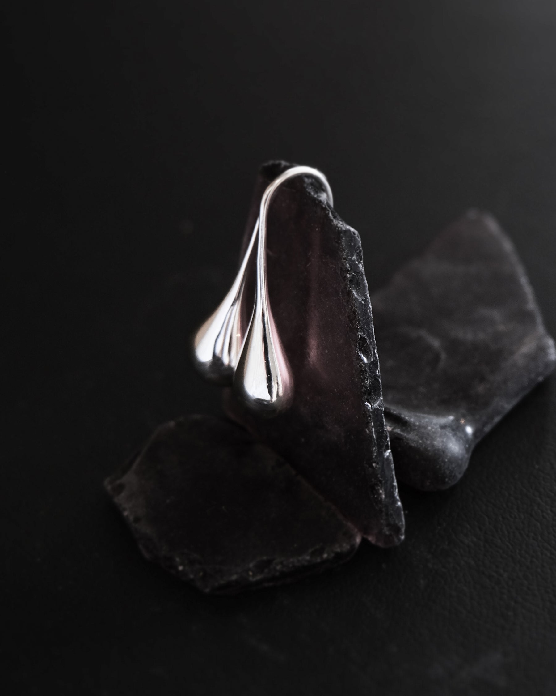 Drop Earrings