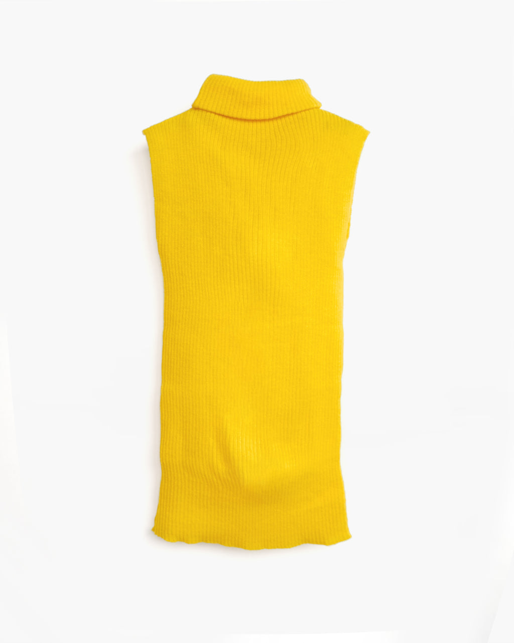 Sleeveless Turtle Knit Top