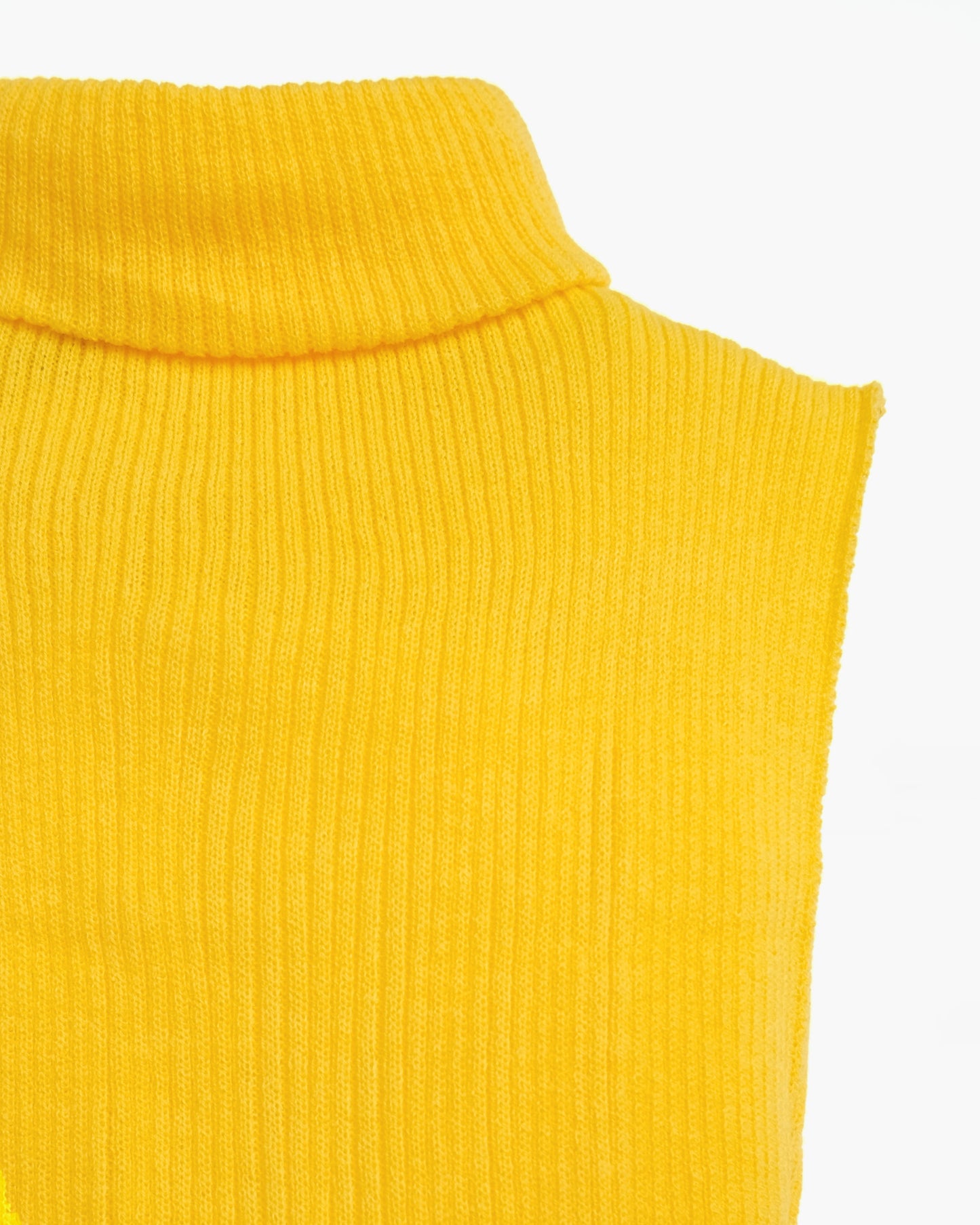 Sleeveless Turtle Knit Top