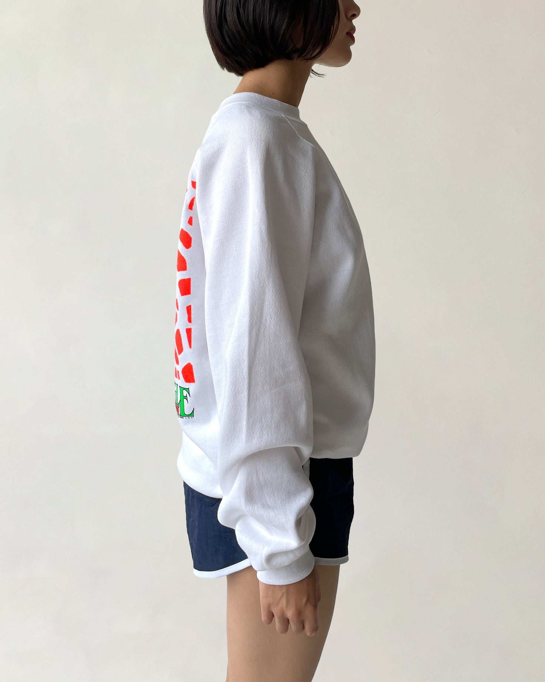 Safari Graphic Sweatshirt - Giraffe