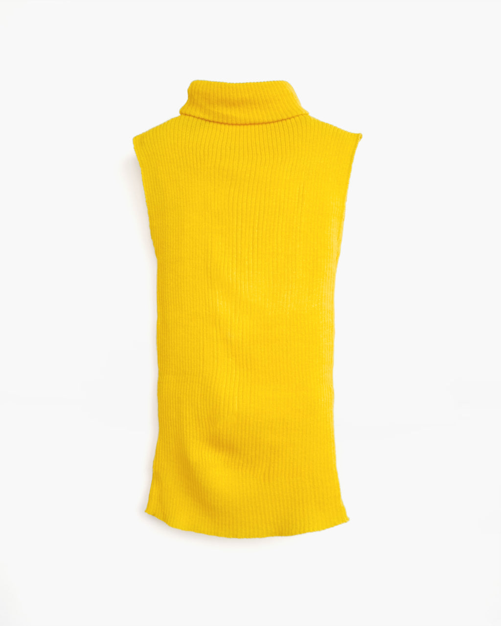 Sleeveless Turtle Knit Top