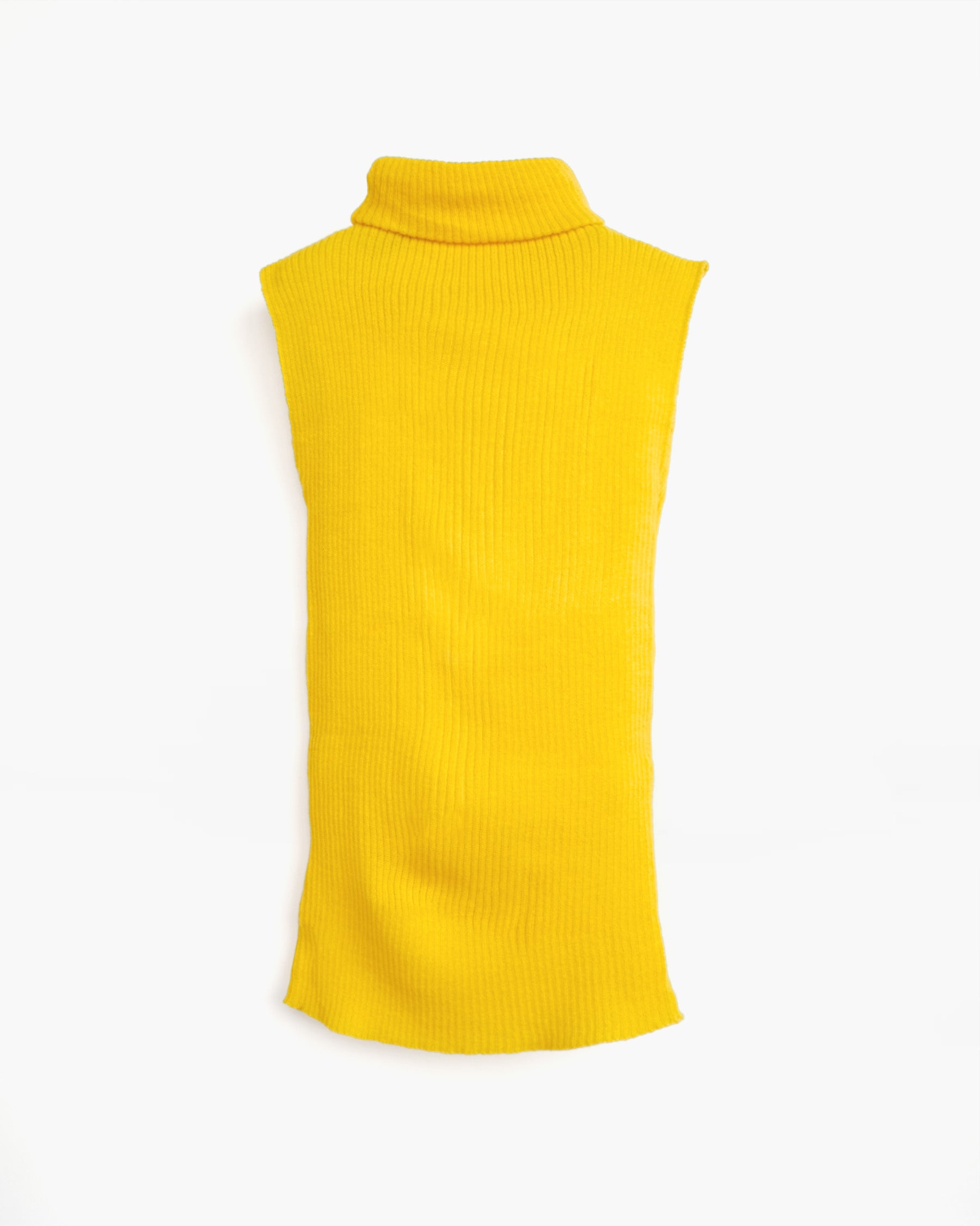Sleeveless Turtle Knit Top