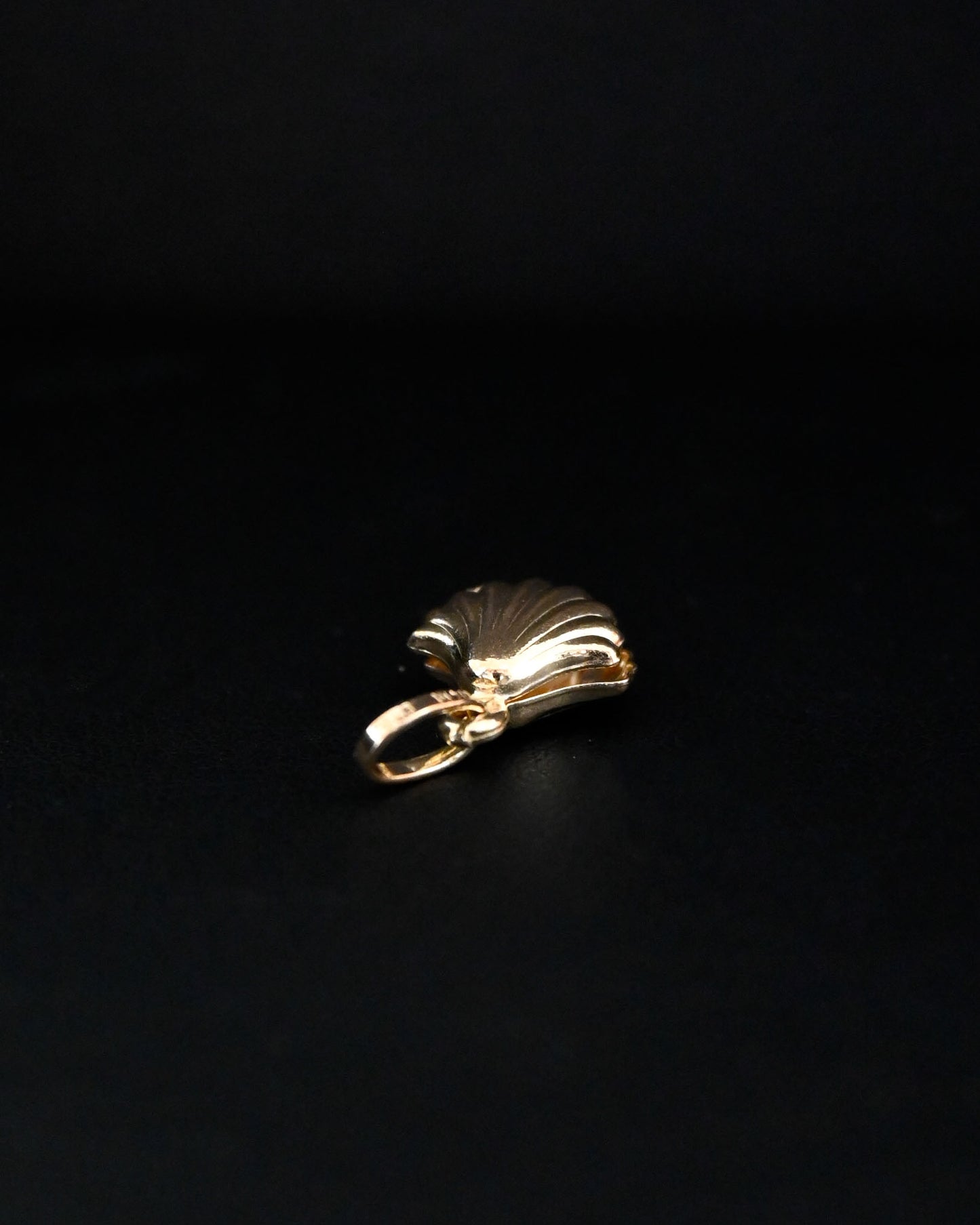 14K Charm - Shell w/ Pearl