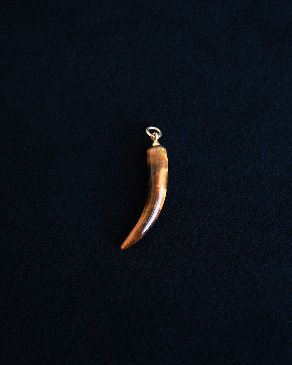 Tiger Eye Horn Charm