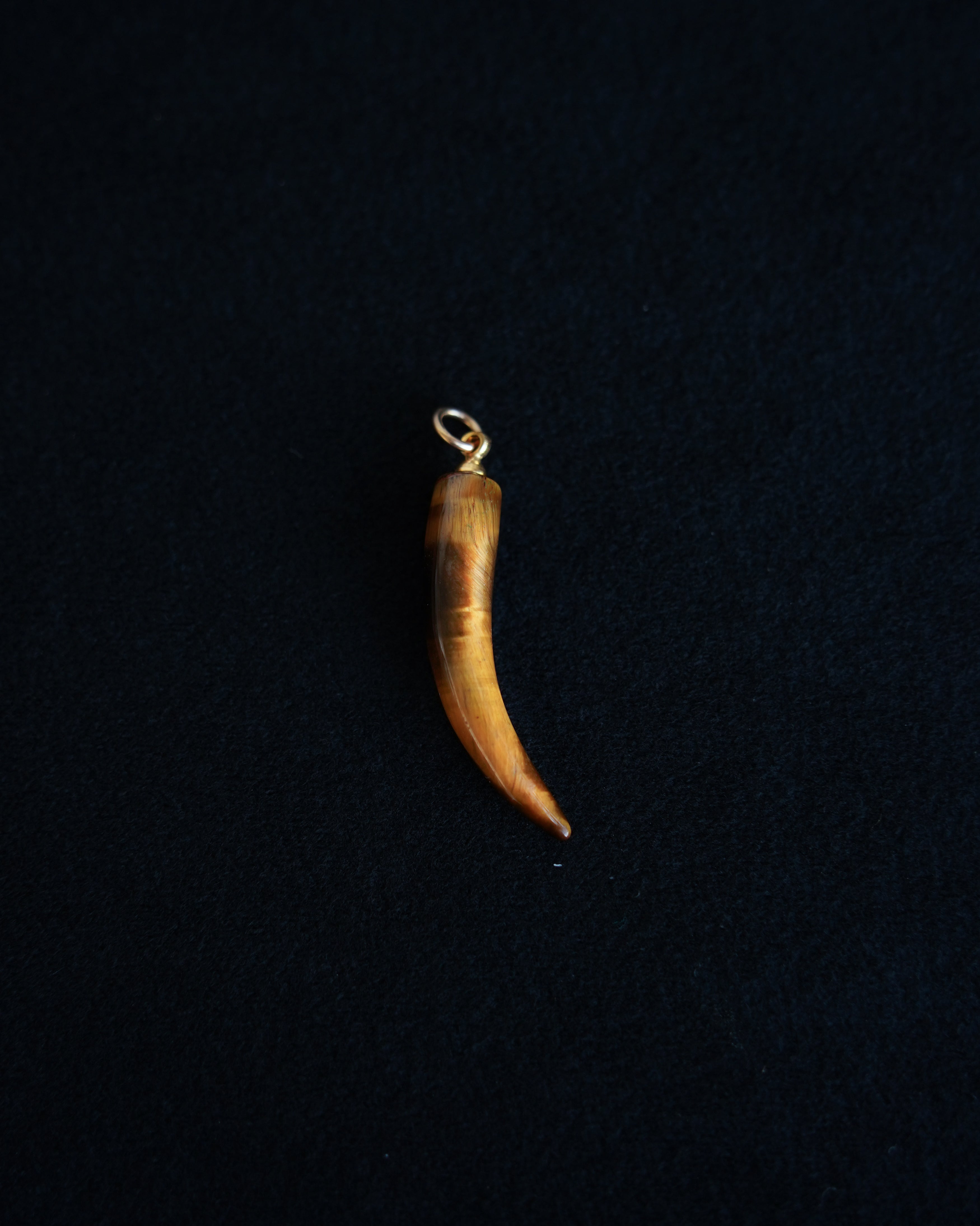 Tiger Eye Horn Charm