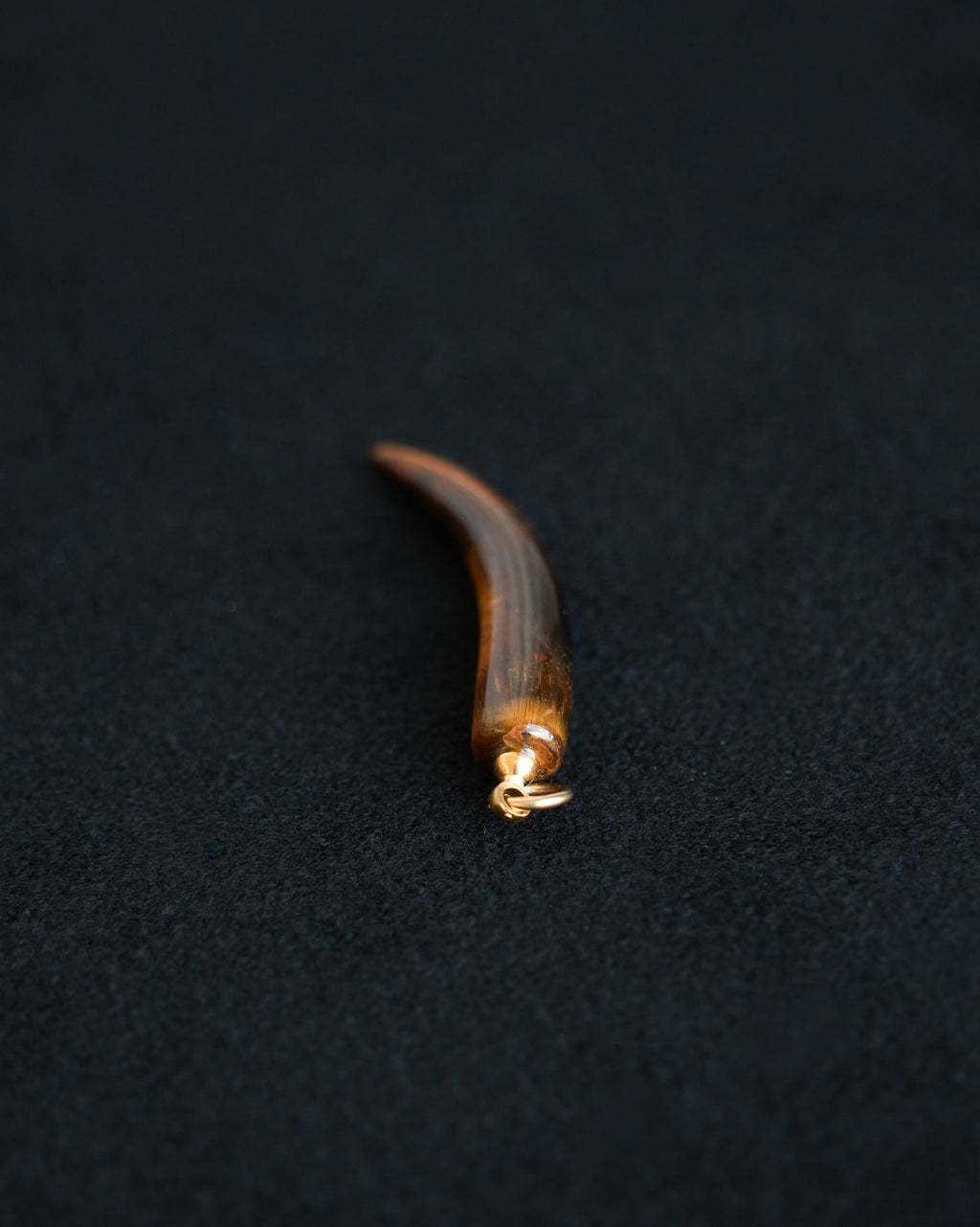 Tiger Eye Horn Charm