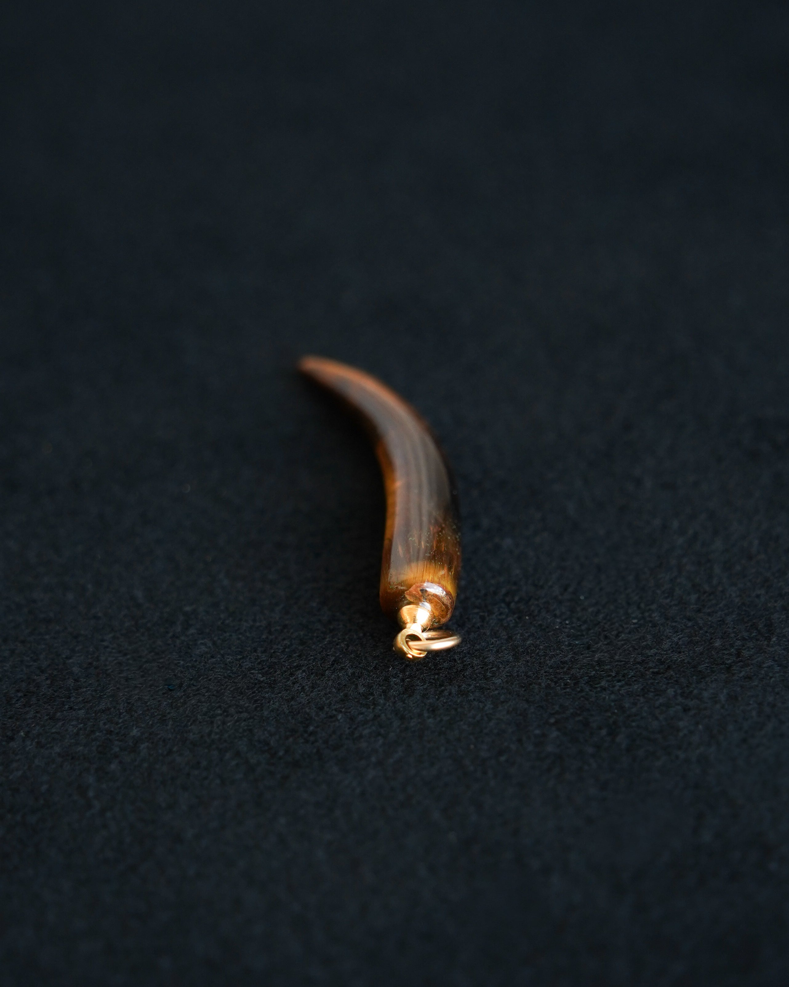 Tiger Eye Horn Charm