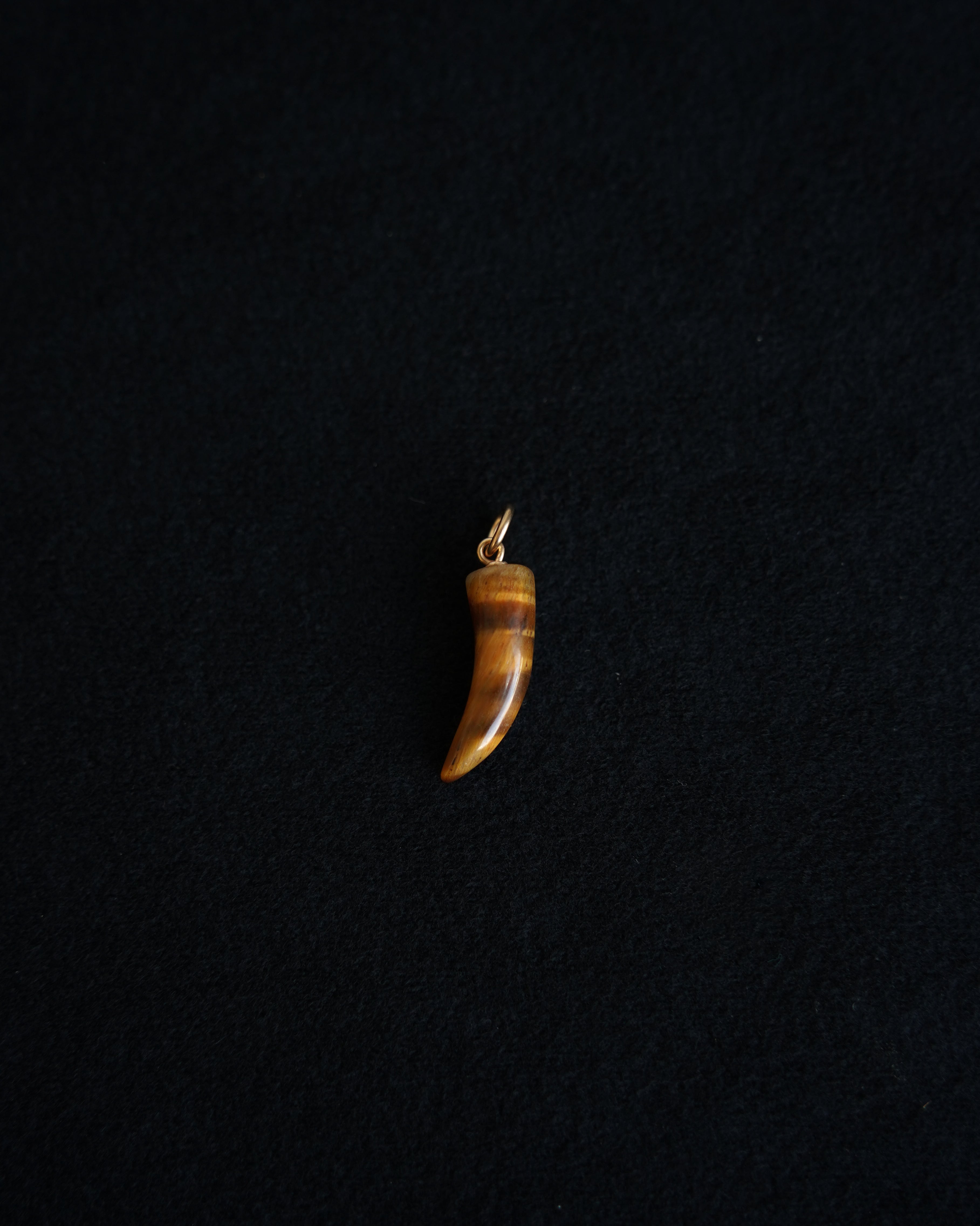 Small Tiger Eye Horn Charm