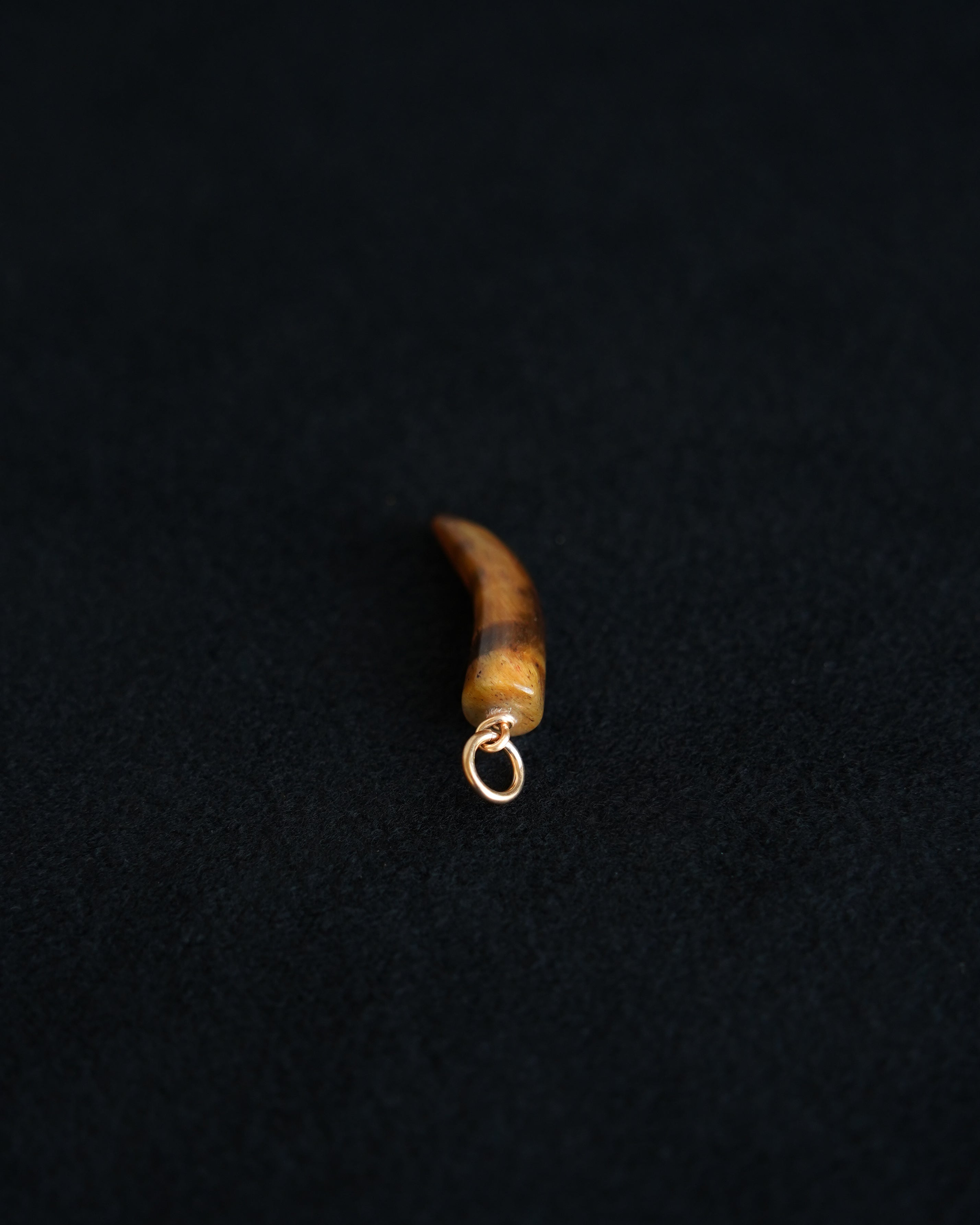 Small Tiger Eye Horn Charm