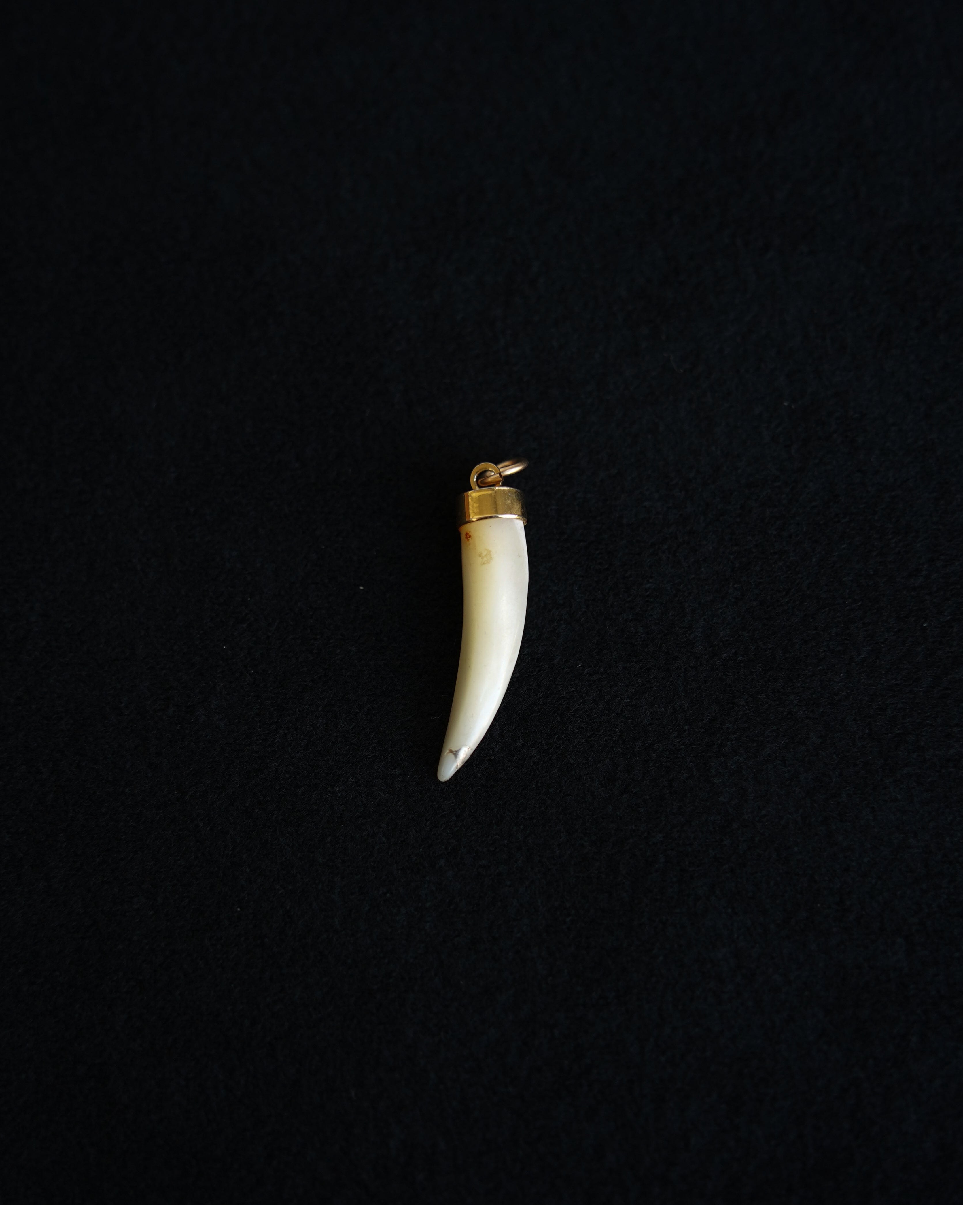 White Agate Horn Charm