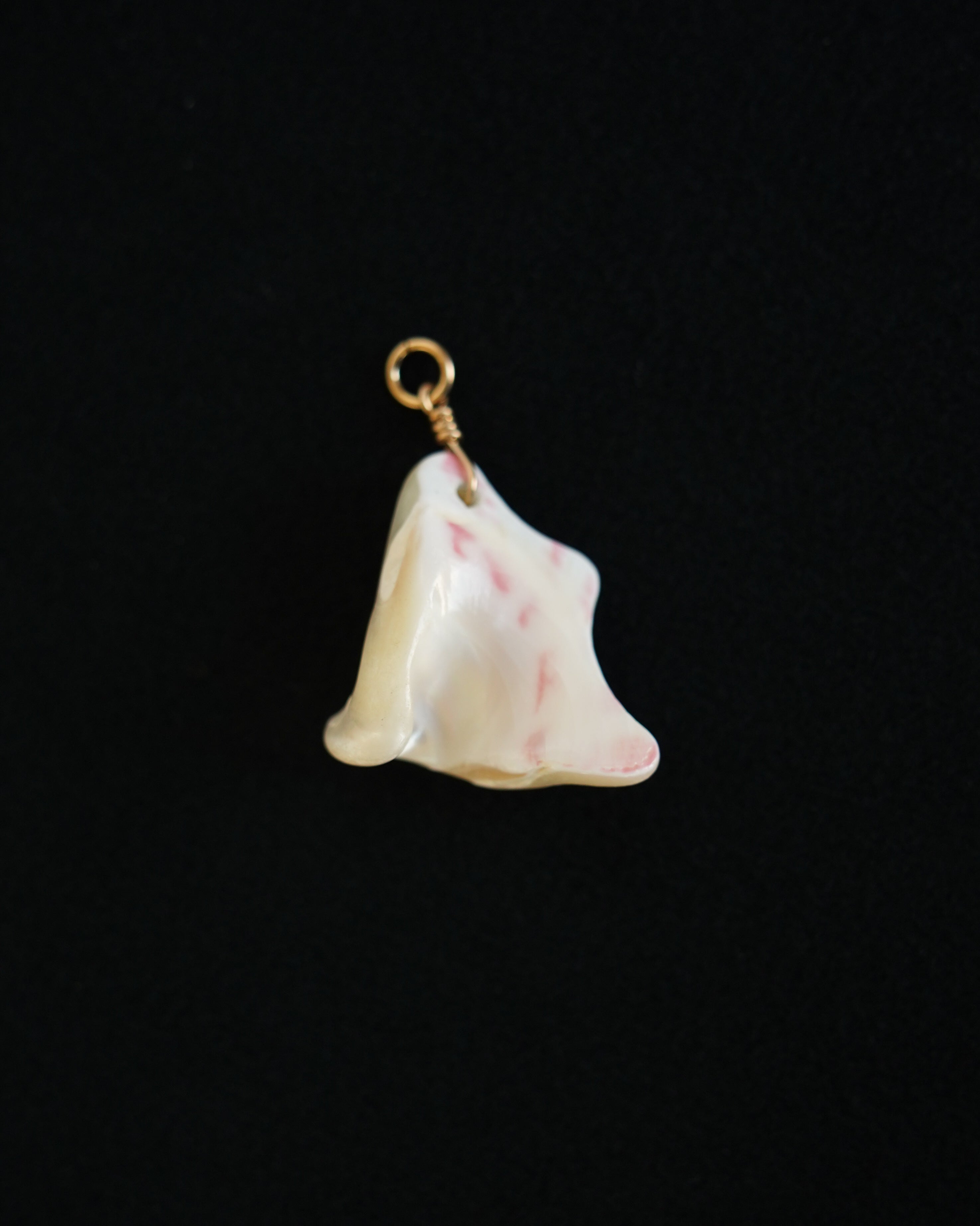 Shell Charm