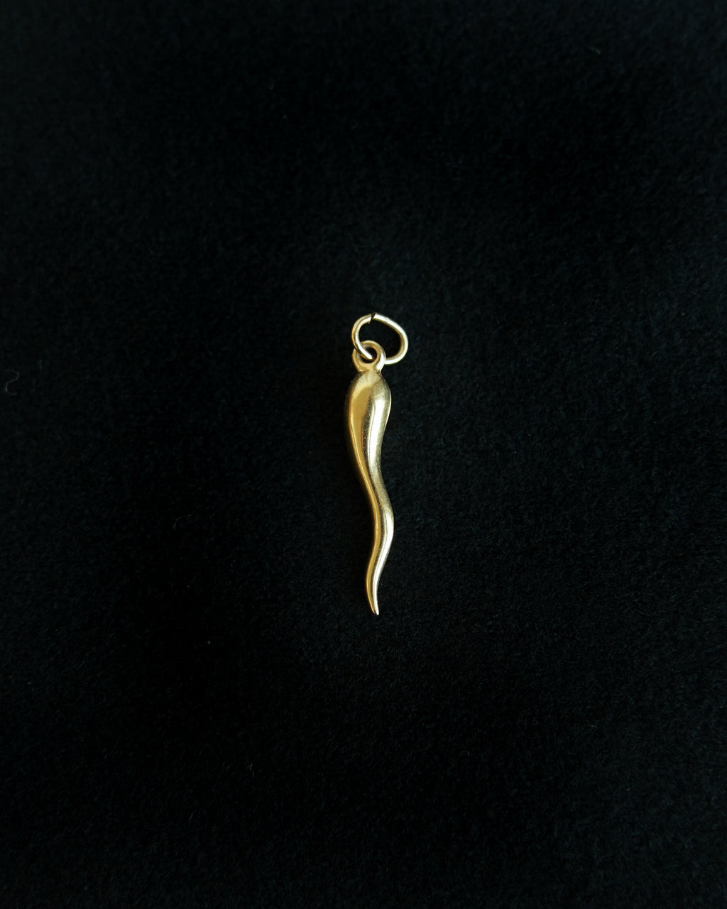 14K Italian Horn Charm