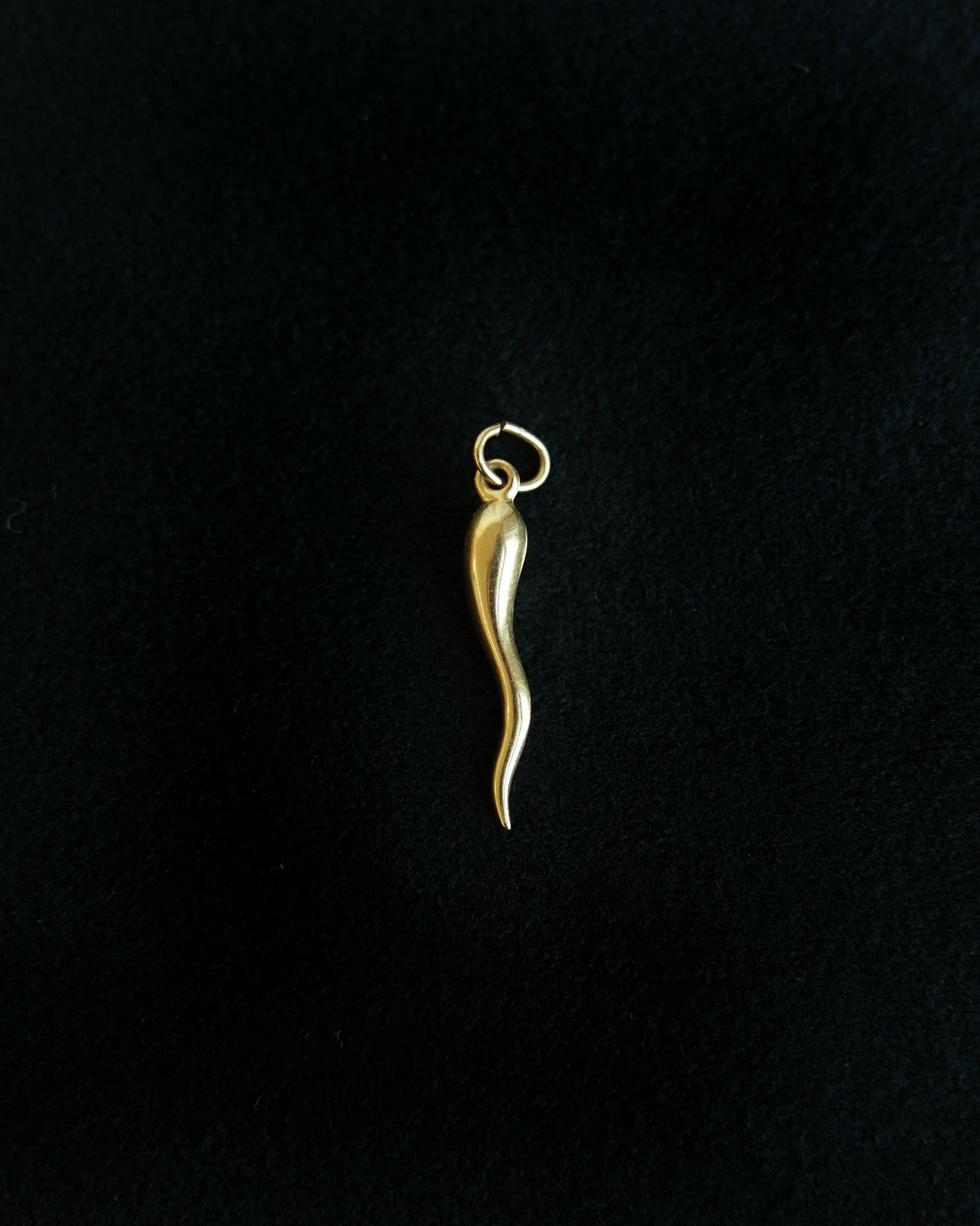 14K Italian Horn Charm