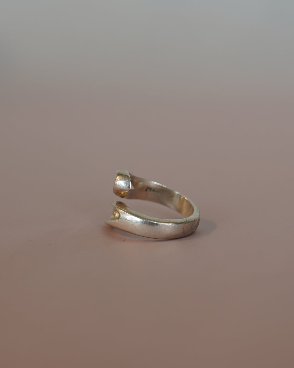 Open Curve Minimal Ring (SVR25023)