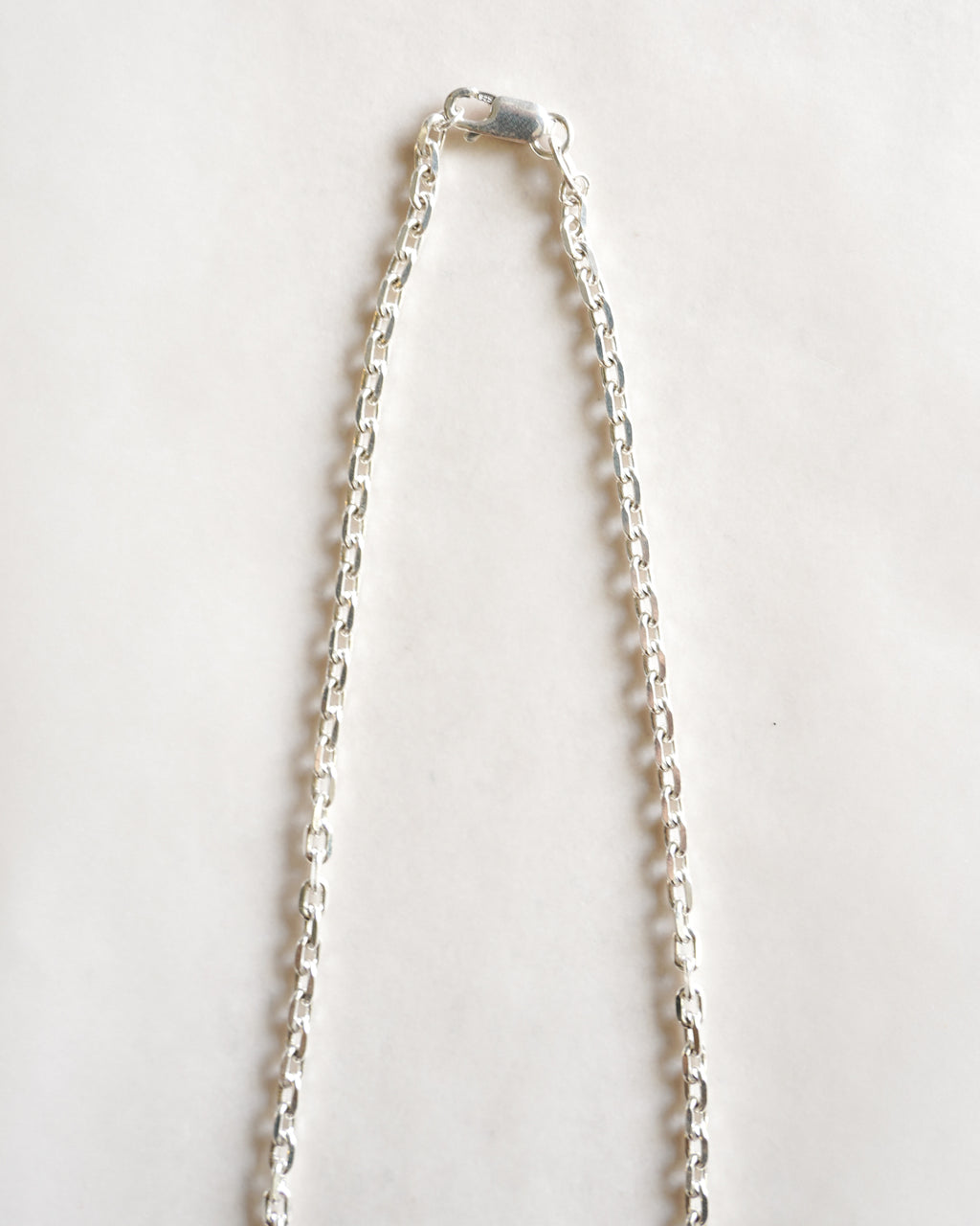 Chain Silver Necklace (SVNL-26006)