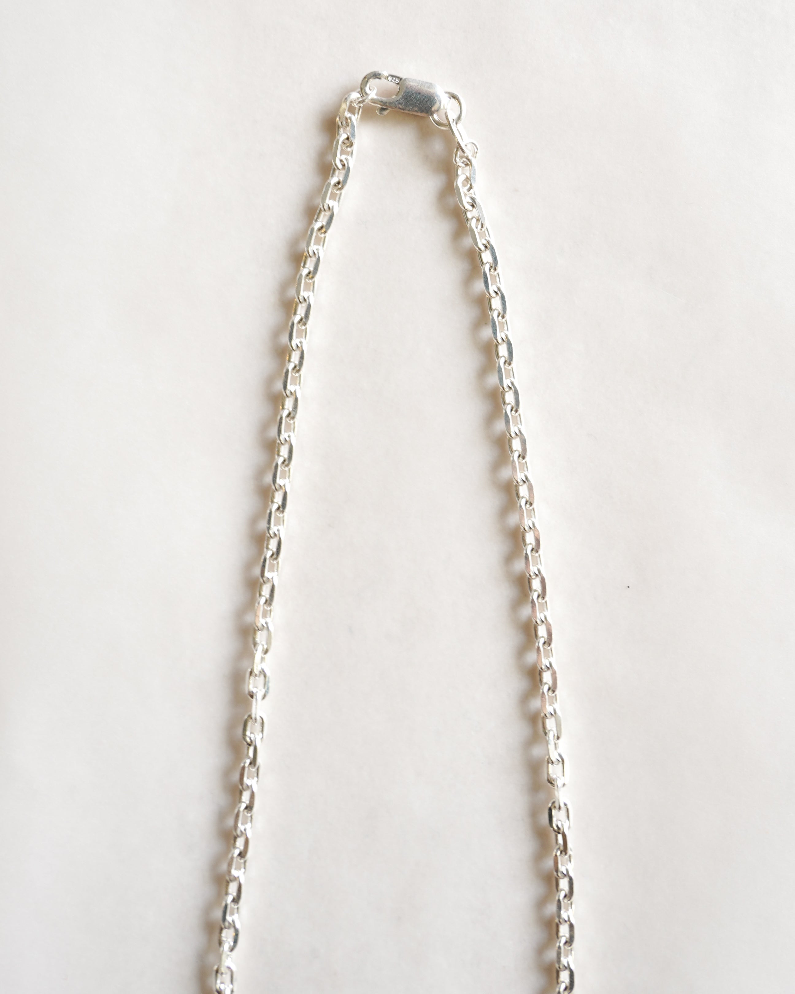 Chain Silver Necklace (SVNL-26006)