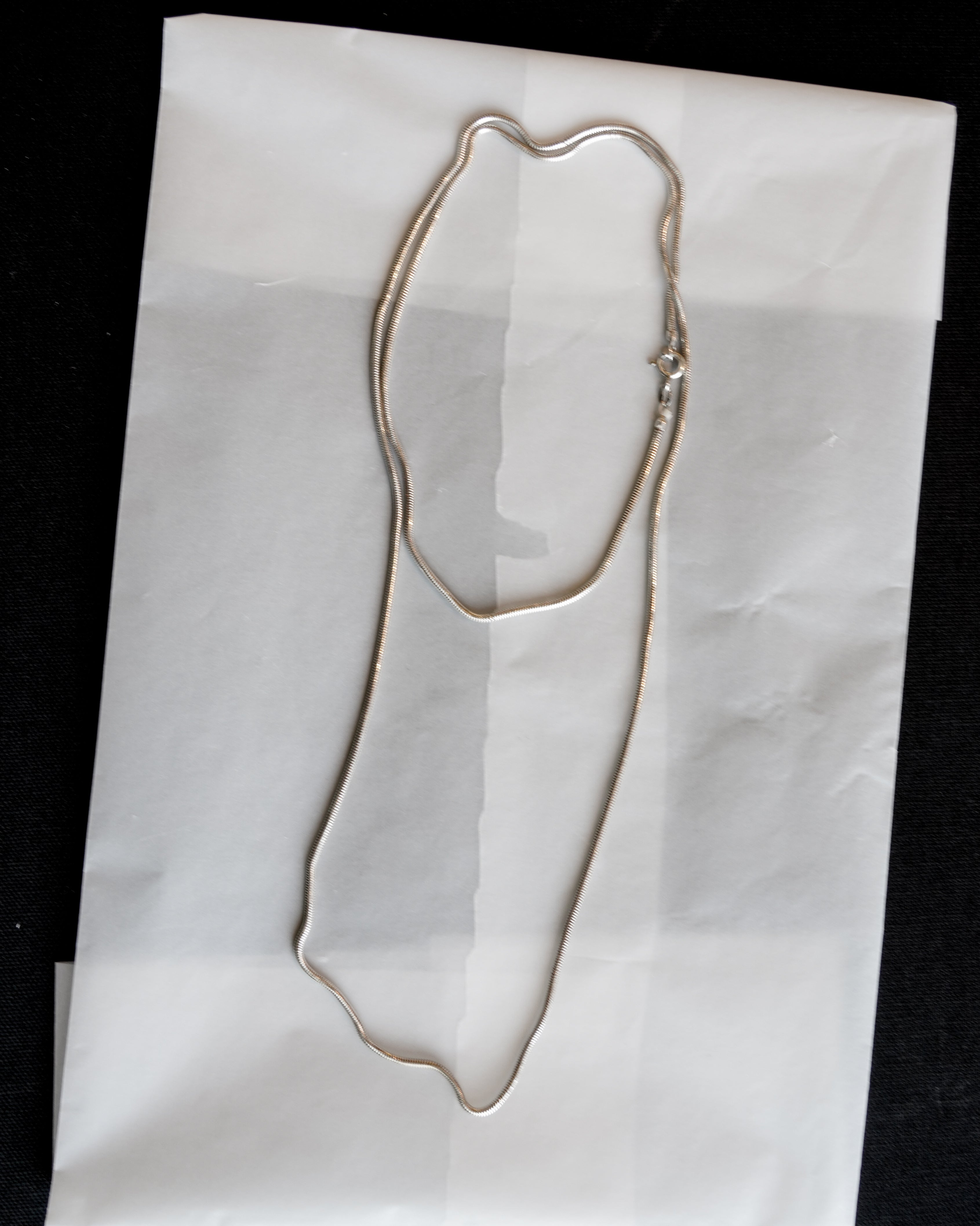 Snake Chain Silver Necklace (SVNL-26021-2)