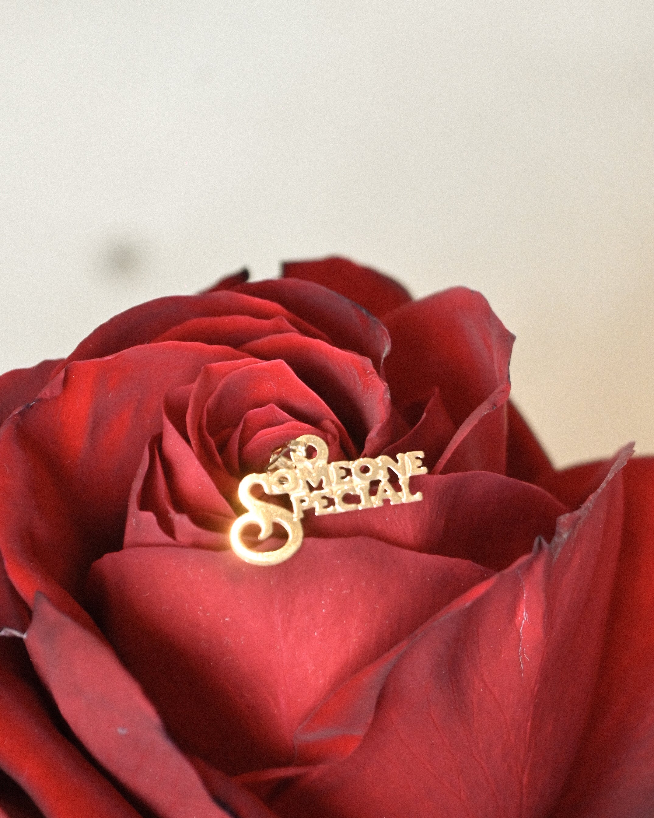 10K "Someone special" Charm