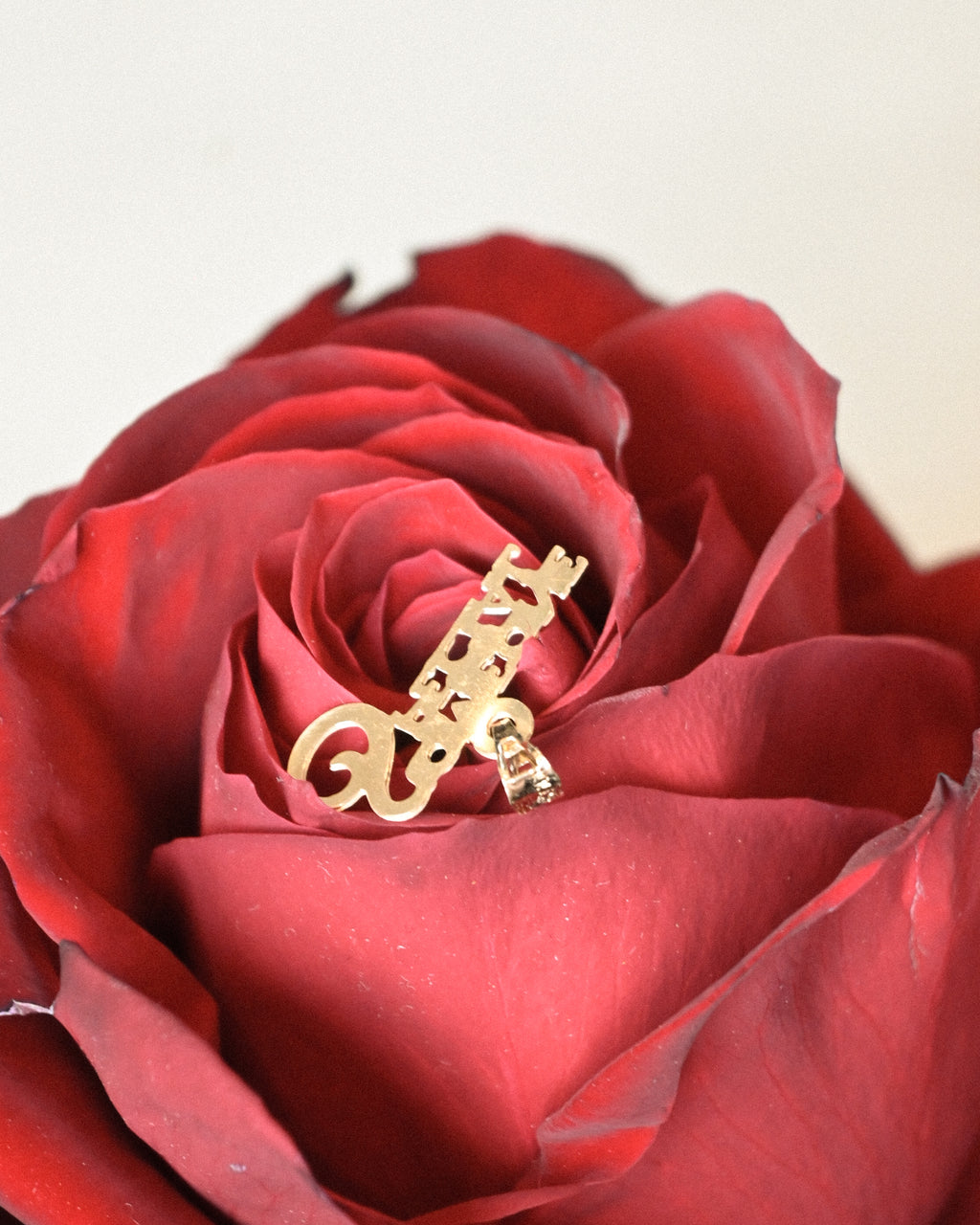 10K "Someone special" Charm