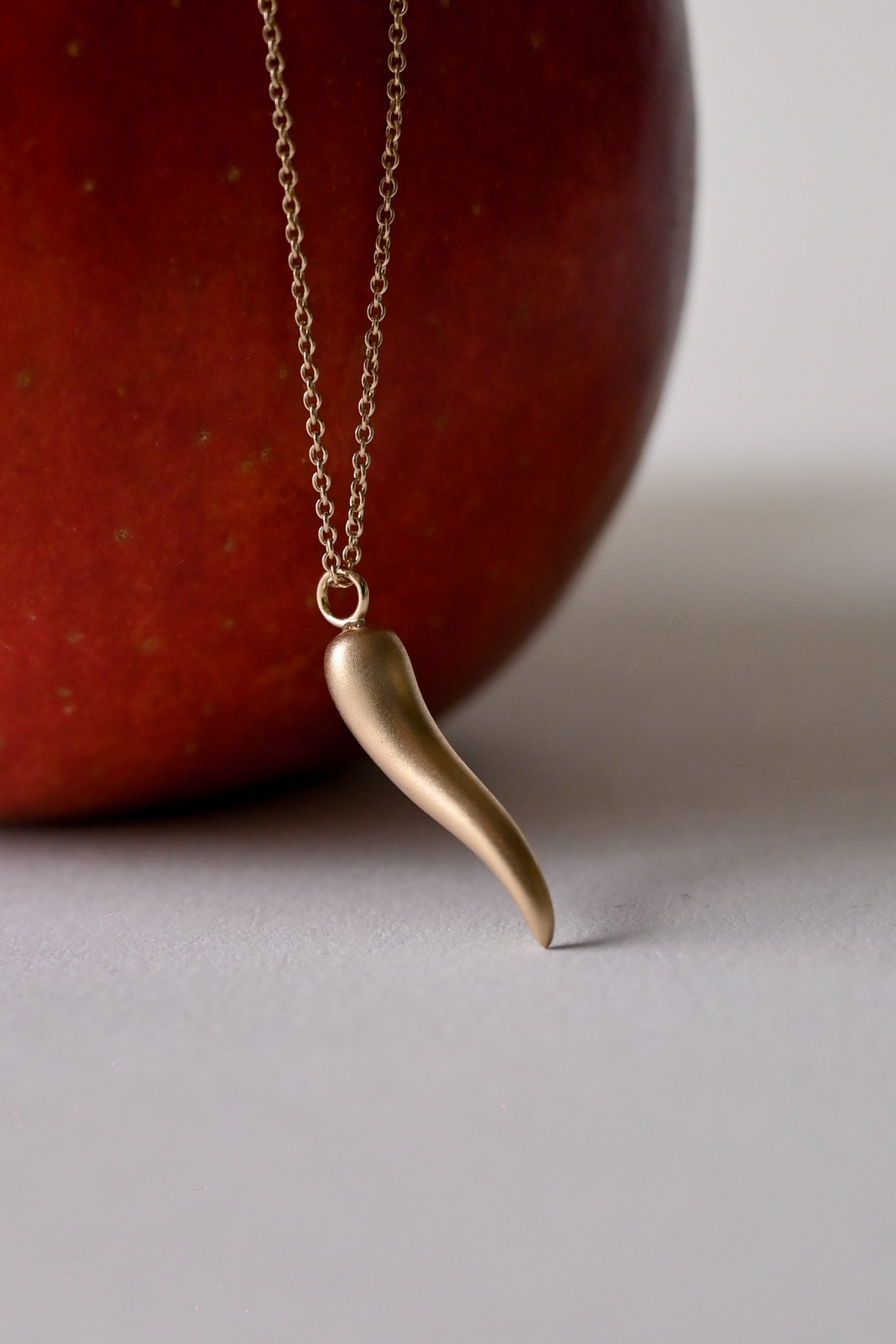 Italian Horn Charm Necklace [S] - 14K