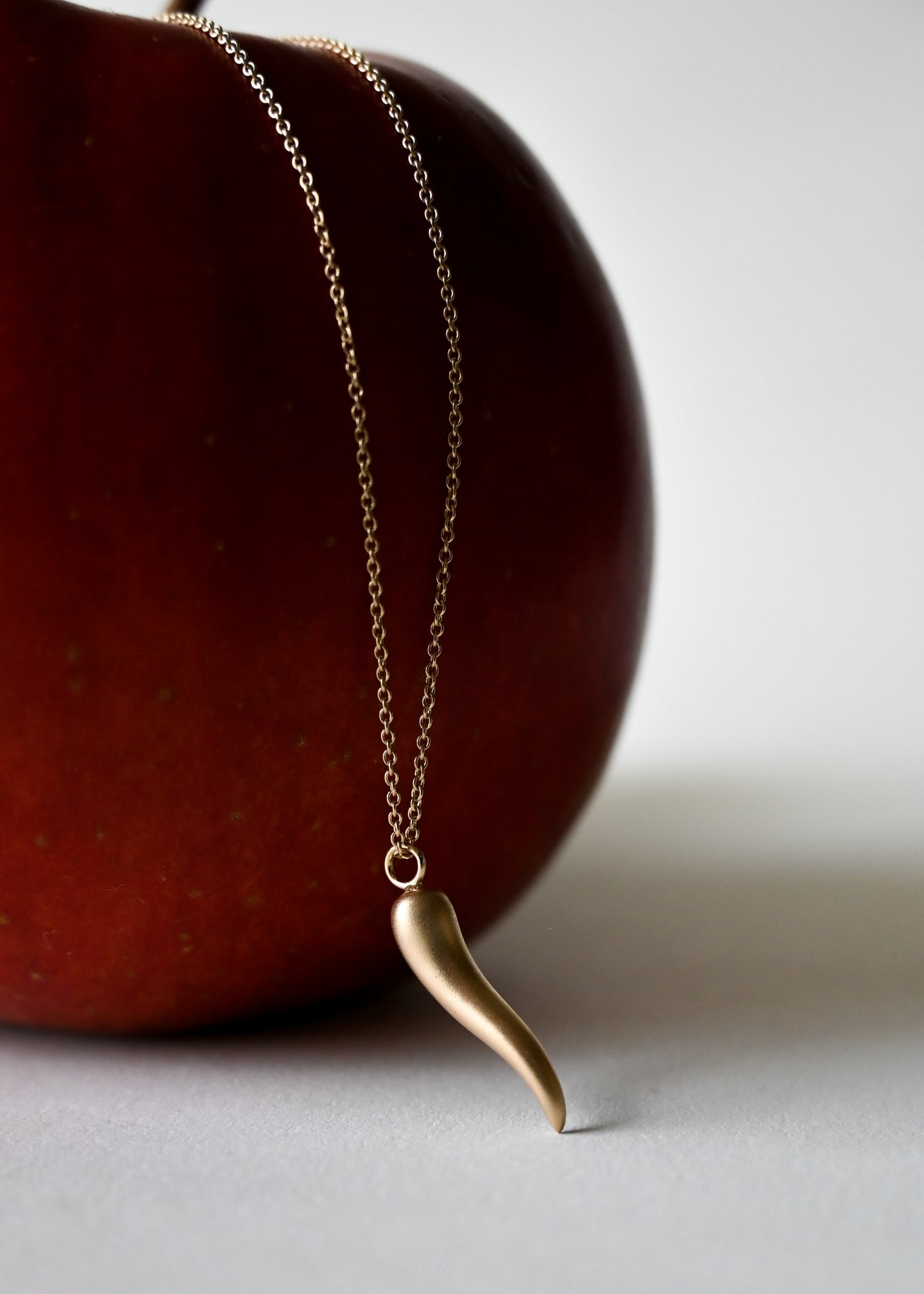 Italian Horn Charm Necklace [S] - 14K
