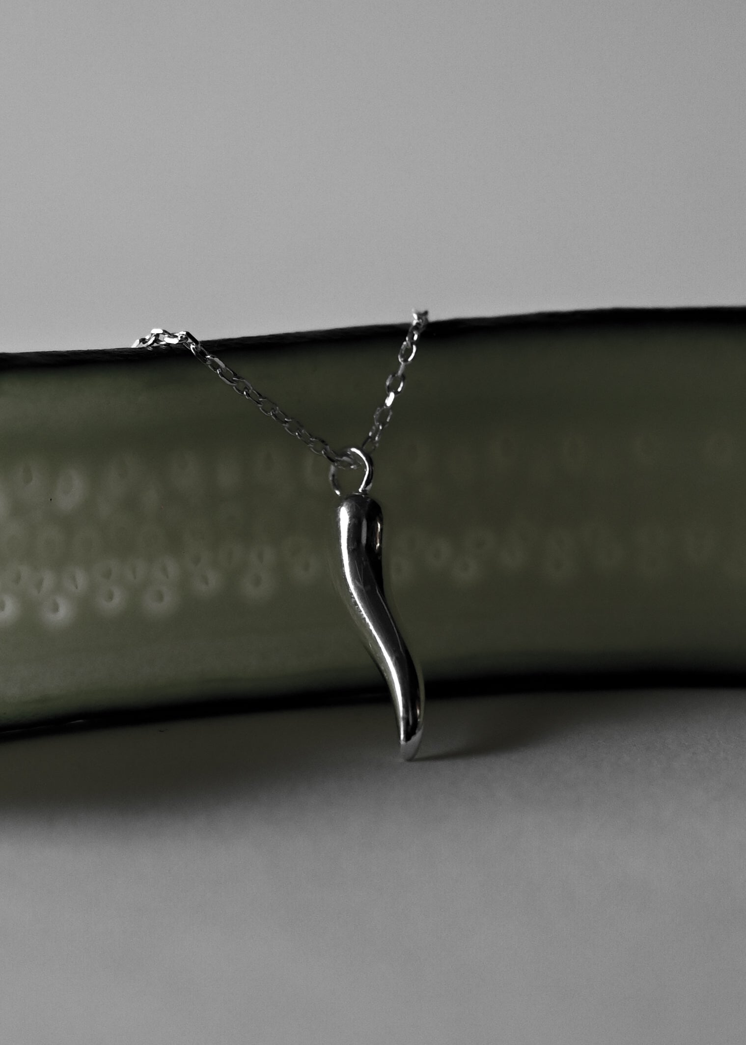 Italian Horn Charm Necklace [S] - 925