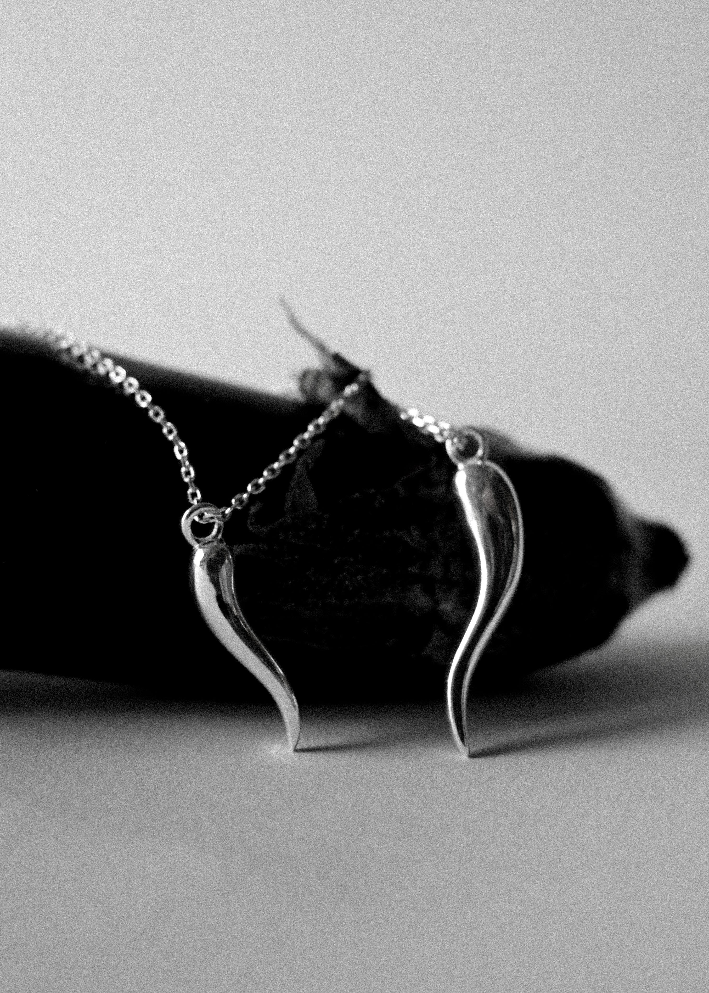 Italian Horn Charm Necklace [S] - 925