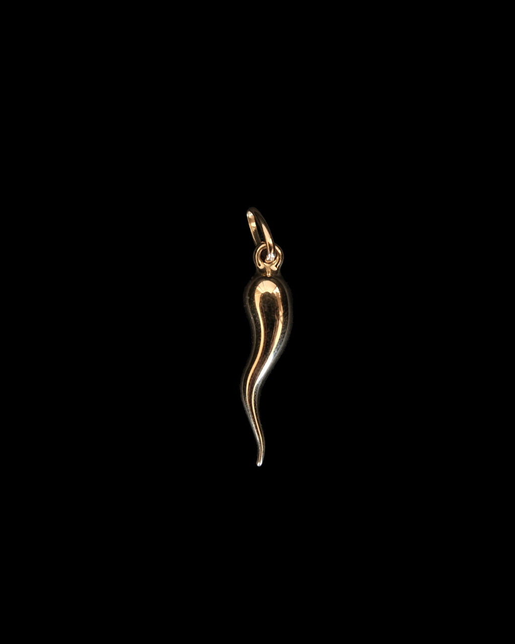 14K Charm -Italian Horn L