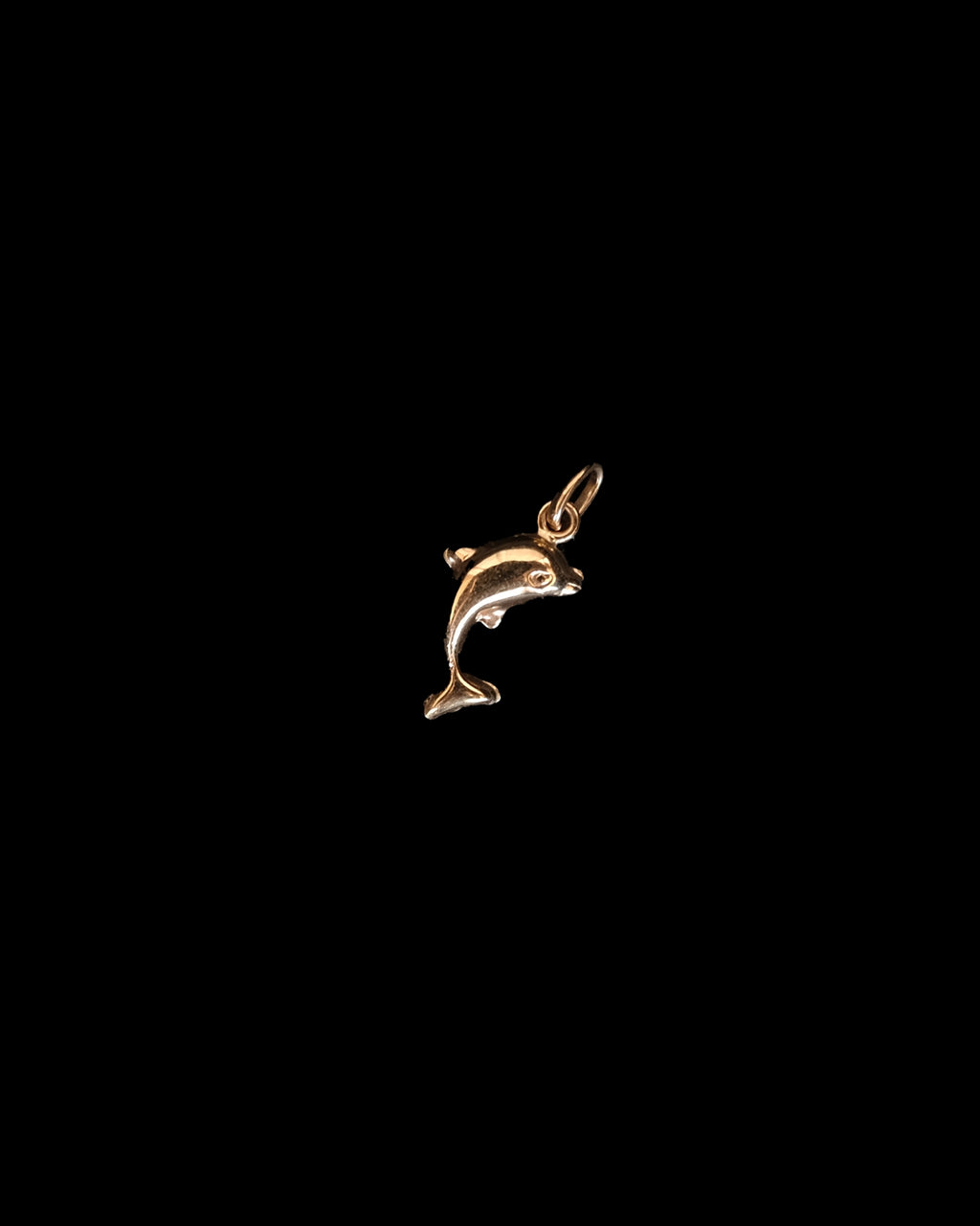 14K Charm- Dolphin