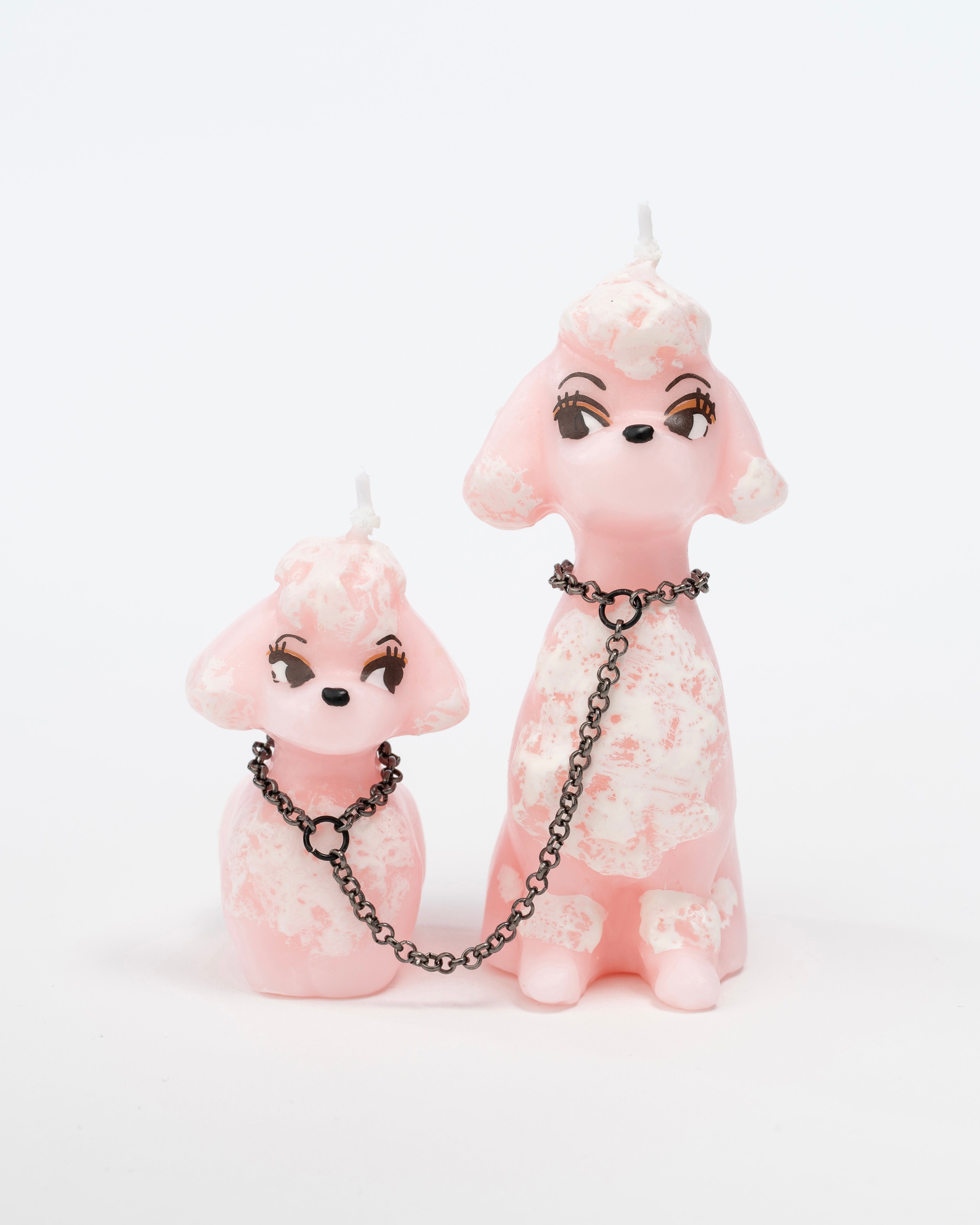 PINK POODLE - ピンクのプードル