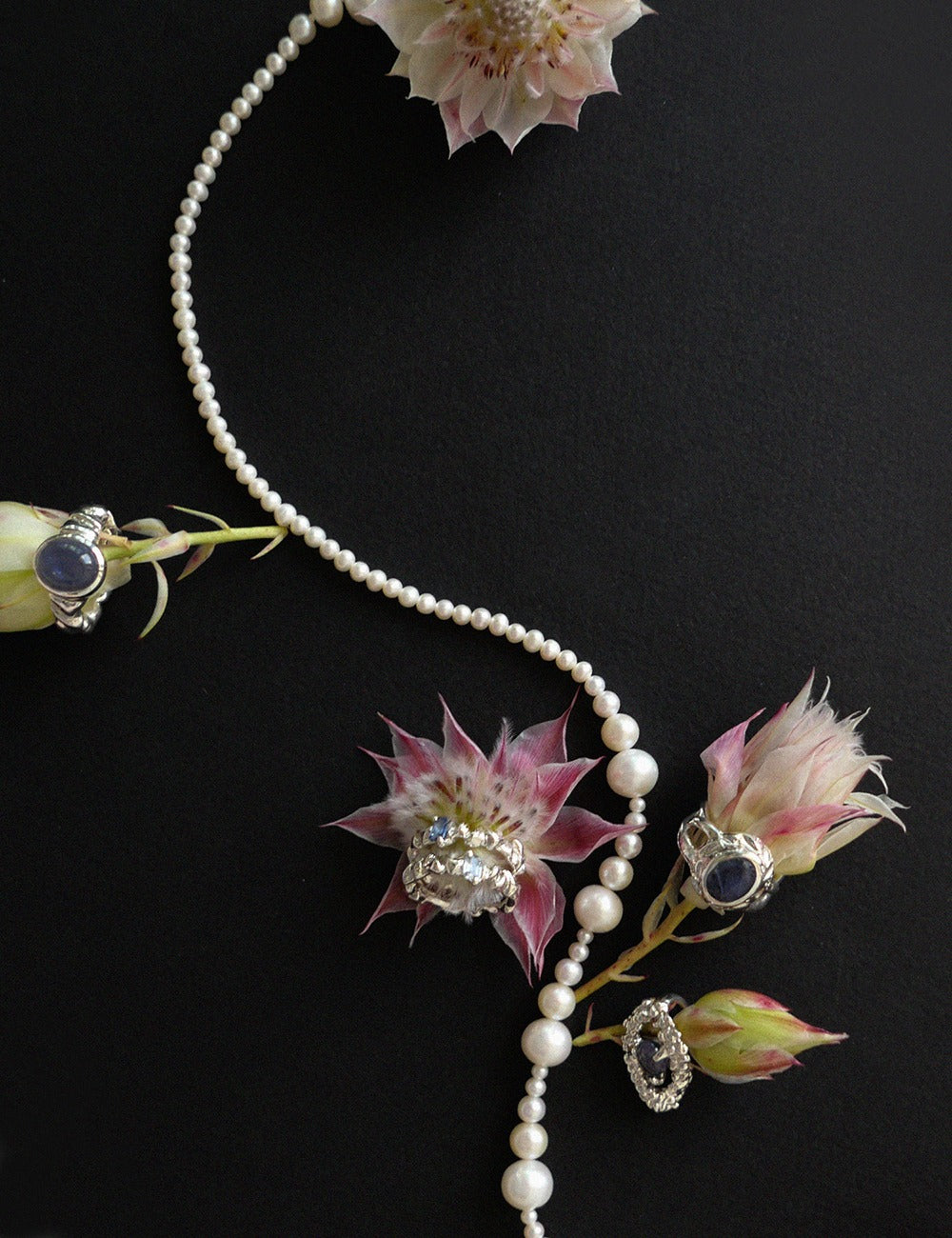 "Isabella Etou" Jane Pearl Necklace