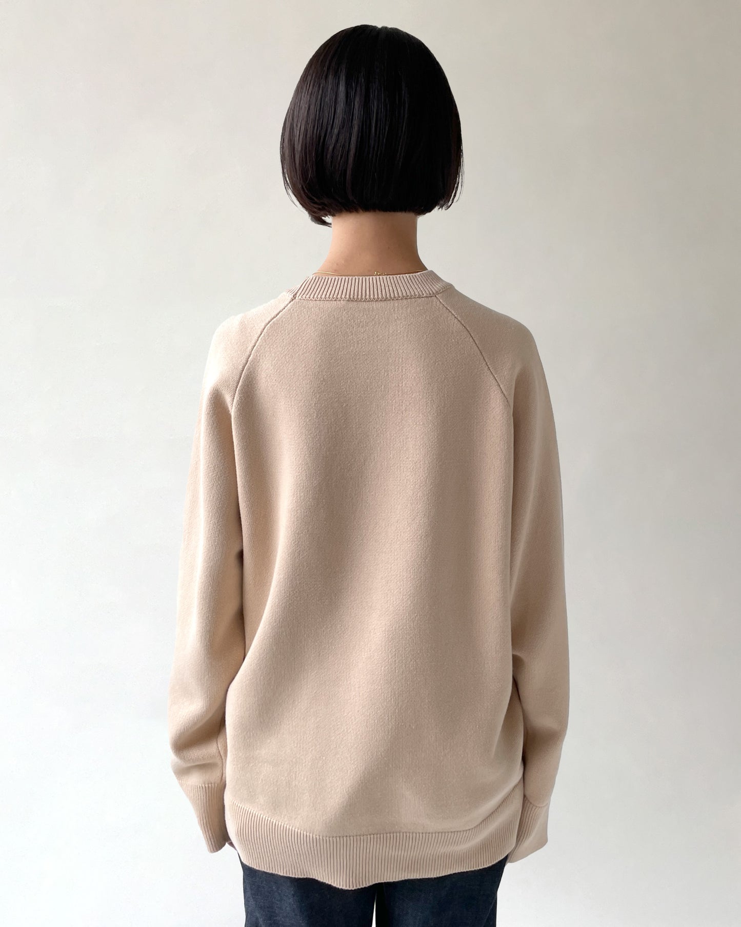 404 Paled Color Crew Neck Sweater by RYE TENDER - Beige
