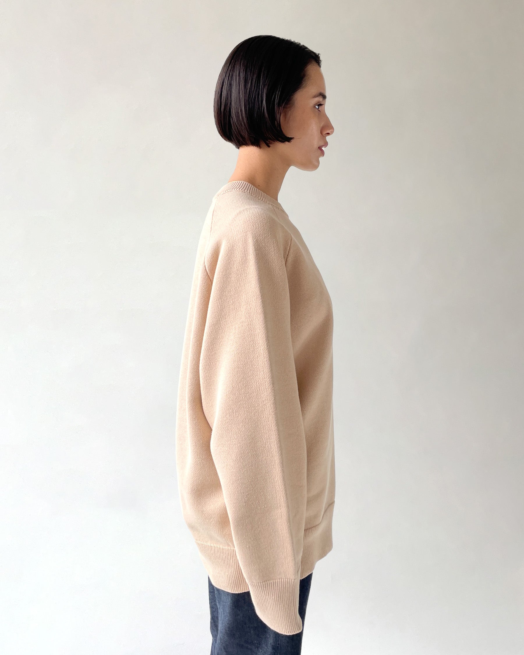 404 Paled Color Crew Neck Sweater by RYE TENDER - Beige