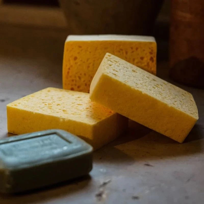 "La Corvette" Set of 3 Biodegradable Sponges