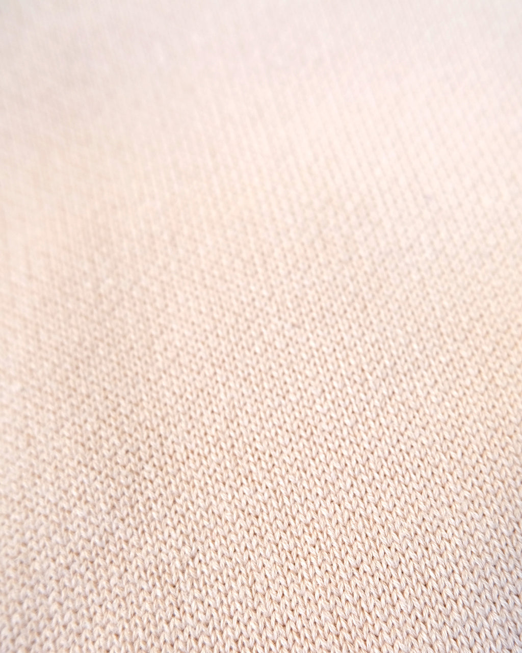 404 Paled Color Crew Neck Sweater by RYE TENDER - Beige
