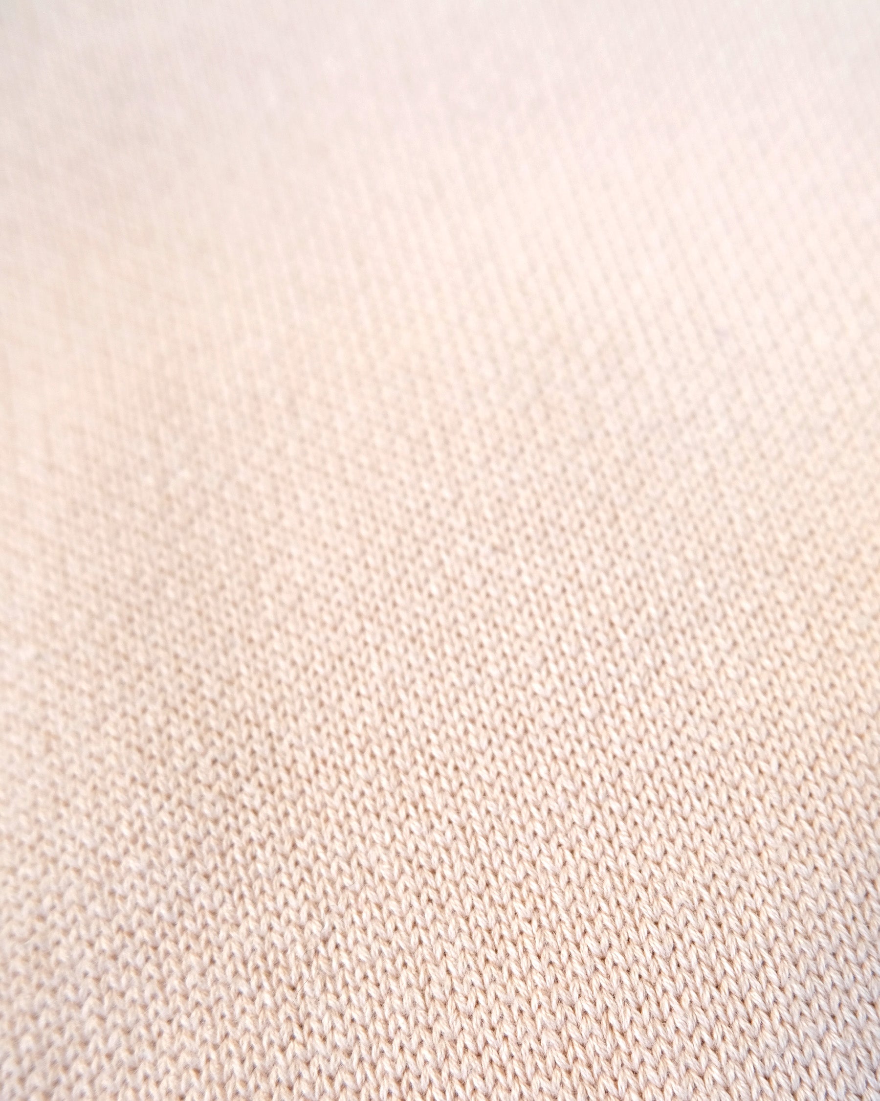 404 Paled Color Crew Neck Sweater by RYE TENDER - Beige