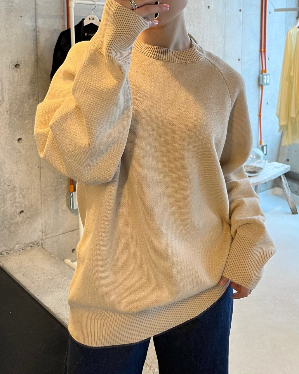 404 Paled Color Crew Neck Sweater by RYE TENDER - Beige