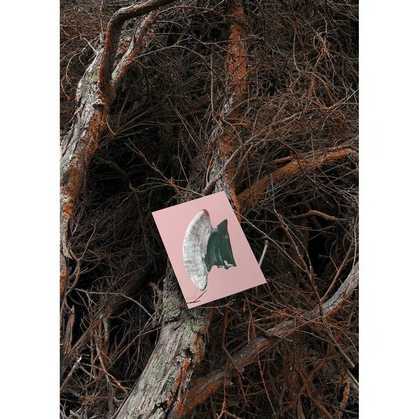 Postcard - Hornbills, set of 5